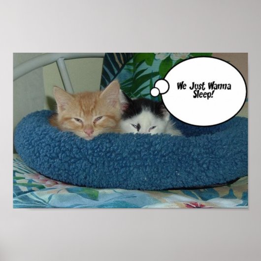 Oranje tablet Humor Poster (Voorkant)