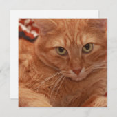 Oranje tablet kaart (Voorkant / Achterkant)