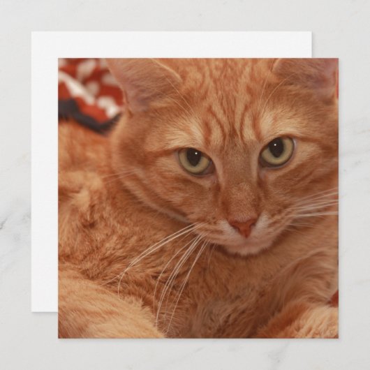 Oranje tablet kaart (Voorkant / Achterkant)