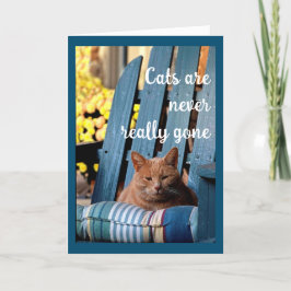 Oranje tablet Kat op blauw stoeltje Sympathie Aankondiging