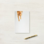 Oranje tablet Kat Post-it® notes 4 x 6 (Op bureau)