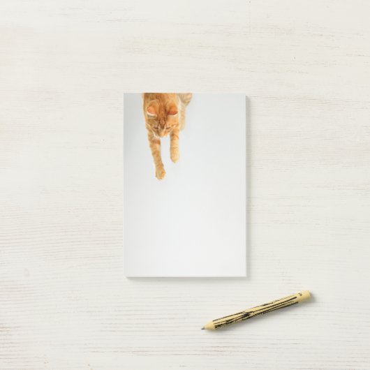 Oranje tablet Kat Post-it® notes 4 x 6 (Op bureau)