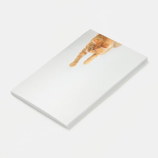 Oranje tablet Kat Post-it® notes 4 x 6 (Schuin)