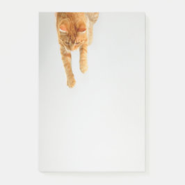Oranje tablet Kat Post-it® notes 4 x 6