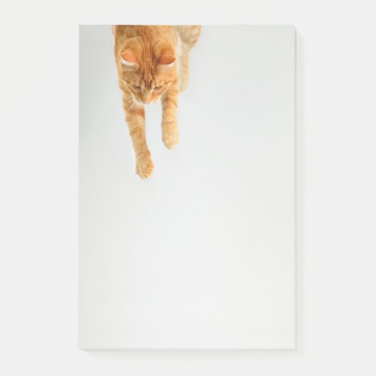 Oranje tablet Kat Post-it® notes 4 x 6 (Voorkant)