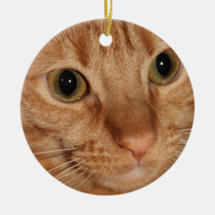Oranje tablet Kat Profiel Face Sluiten Keramisch Ornament
