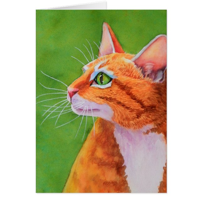 Oranje tablet - kat - whiskers (Voorkant)