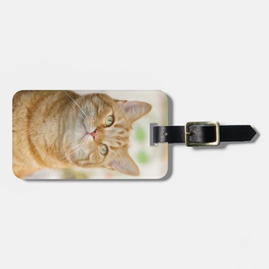 Oranje tablet Kitty Cat Bagagelabel (Voorkant horizontaal)