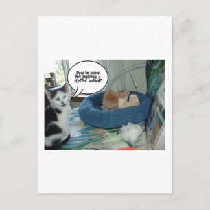 Oranje tablet Kitty Cat Briefkaart