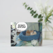 Oranje tablet Kitty Cat Briefkaart (Staand voorkant)