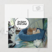 Oranje tablet Kitty Cat Briefkaart (Voorkant / Achterkant)