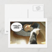 Oranje tablet Kitty Cat Briefkaart (Voorkant / Achterkant)