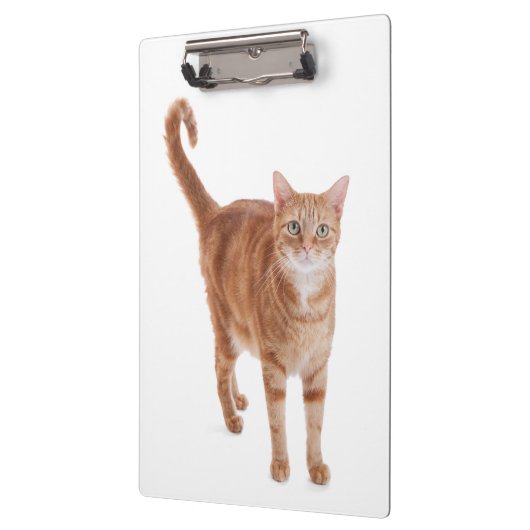 Oranje tablet klembord (Links)