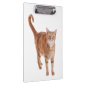 Oranje tablet klembord (Rechts)