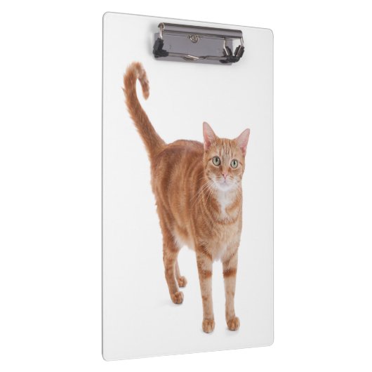 Oranje tablet klembord (Rechts)