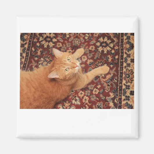 Oranje tablet magneet (Voorkant)