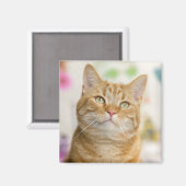 Oranje tablet magneet (Voorkant / Achterkant)