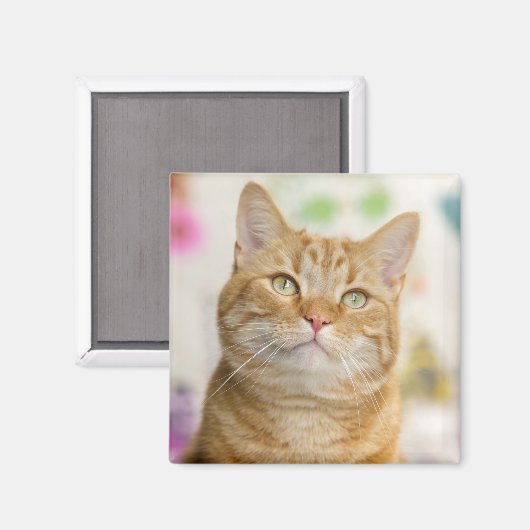 Oranje tablet magneet (Voorkant / Achterkant)