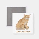 Oranje tablet magneet (Voorkant / Achterkant)