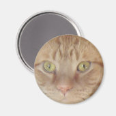 Oranje tablet magneet (Voorkant / Achterkant)