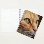 Oranje tablet met groene ogen Aangepast Planner (Display)
