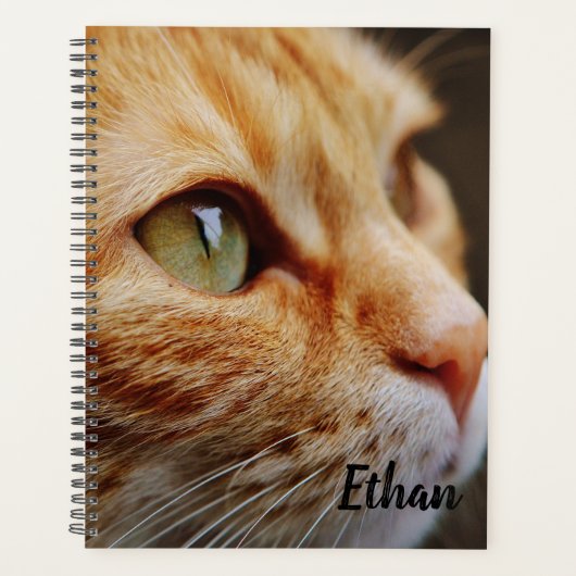 Oranje tablet met groene ogen Aangepast Planner (Voorkant)