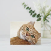 Oranje tablet met groene ogen briefkaart (Staand voorkant)