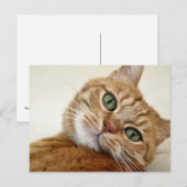 Oranje tablet met groene ogen briefkaart (Voorkant / Achterkant)