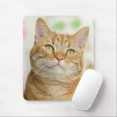 Oranje tablet muismat (Met muis)