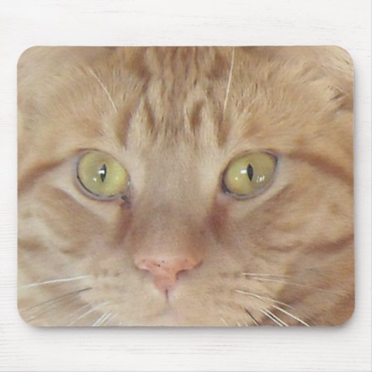 Oranje tablet muismat (Voorkant)