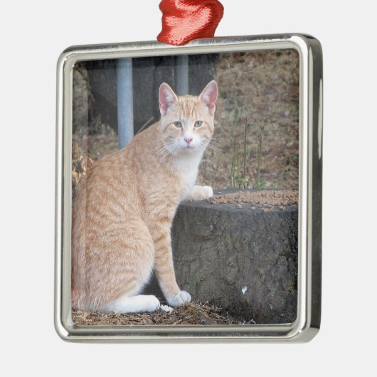 Oranje tablet Ornament (Links)