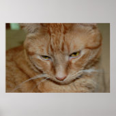 Oranje tablet poster (Voorkant)