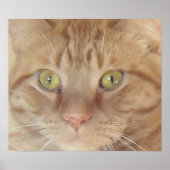 Oranje tablet poster (Voorkant)