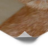 Oranje tablet poster (Hoek)