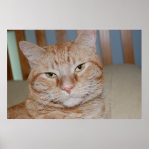 Oranje tablet poster