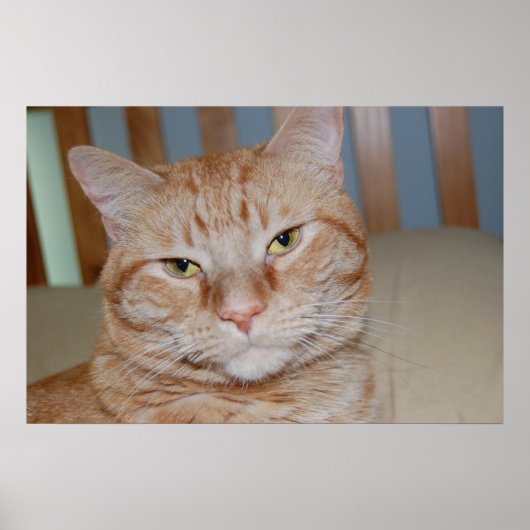 Oranje tablet poster (Voorkant)