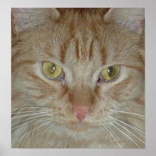 Oranje tablet poster (Voorkant)