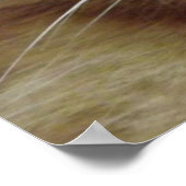 Oranje tablet Poster (Hoek)