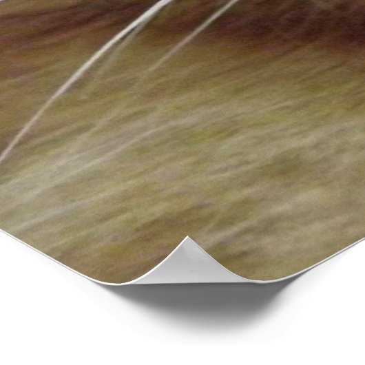 Oranje tablet Poster (Hoek)