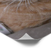 Oranje tablet poster (Hoek)