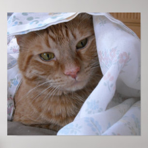 Oranje tablet poster