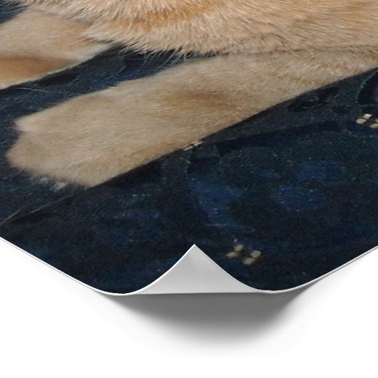 Oranje tablet poster (Hoek)