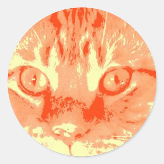 Oranje tablet ronde sticker (Voorkant)