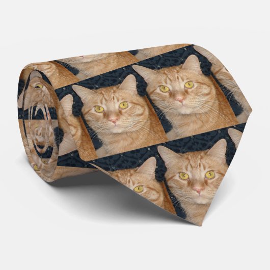 Oranje tablet stropdas (Opgerold)