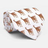 Oranje tablet stropdas (Opgerold)