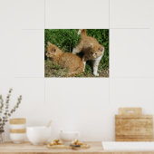 Oranje tabletten poster (Keuken)