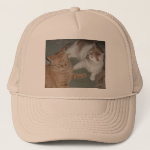 Oranje tabletten trucker pet