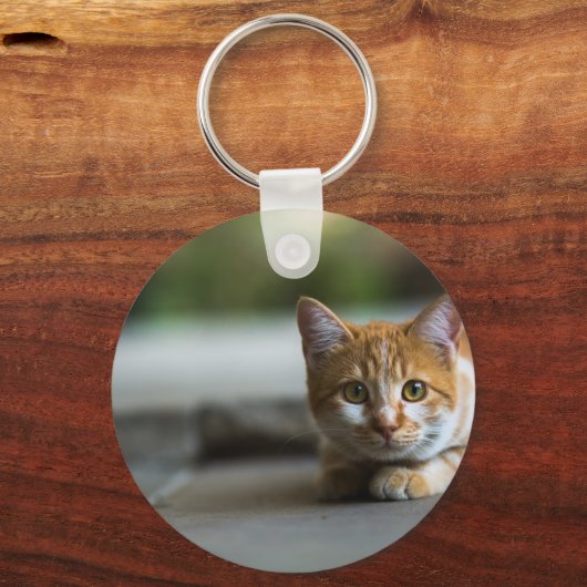 Oranje tafel kitten. sleutelhanger