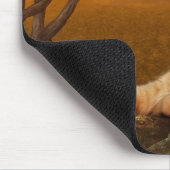 Oranje tafellazen in de zon muismat (Hoek)