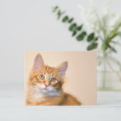 Oranje tafeltje kitten briefkaart (Staand voorkant)